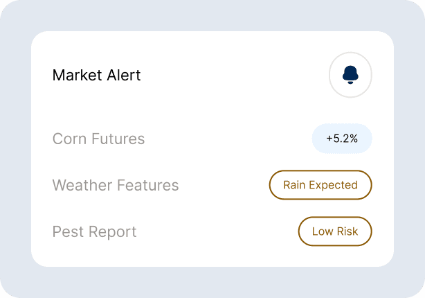 data decisions